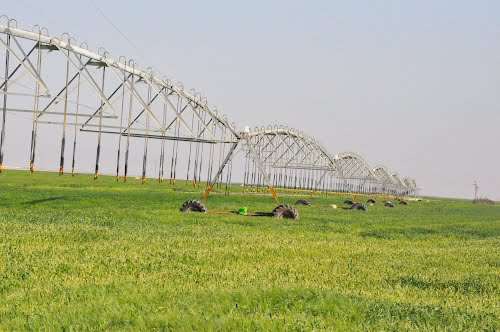 Center Irrigation Pivots for  Kadco Egypt – Kingdom Agricultural Development Co